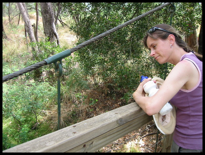 Jo gazing into Morses creek